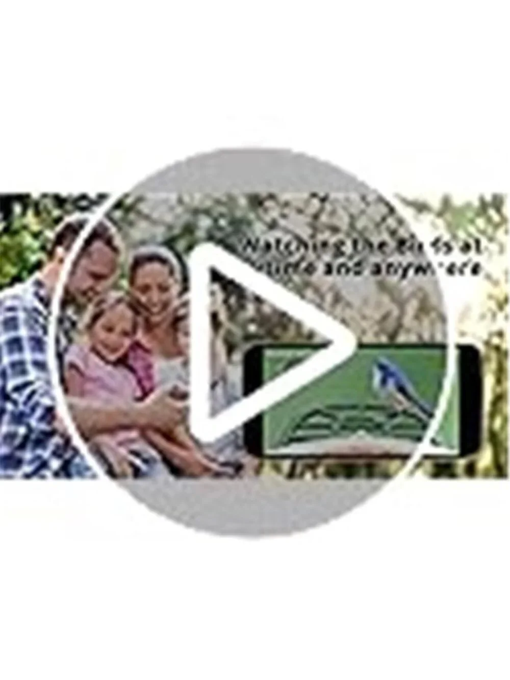 New Bird Feeder with Camera with AI Identify Birds Species Solar Powered